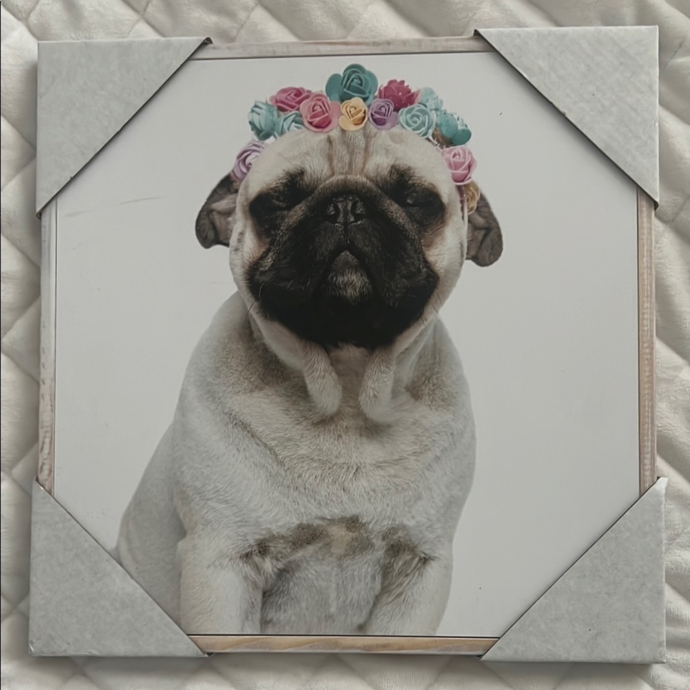 Hobby Lobby Pink and Purple Dog Clothing Accessory